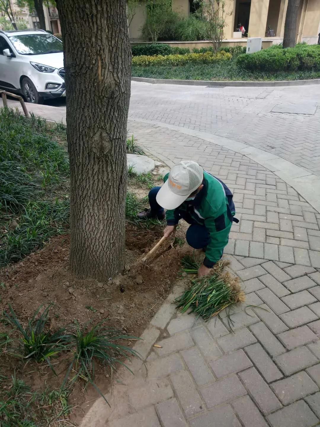 2.jpg 2.jpg
